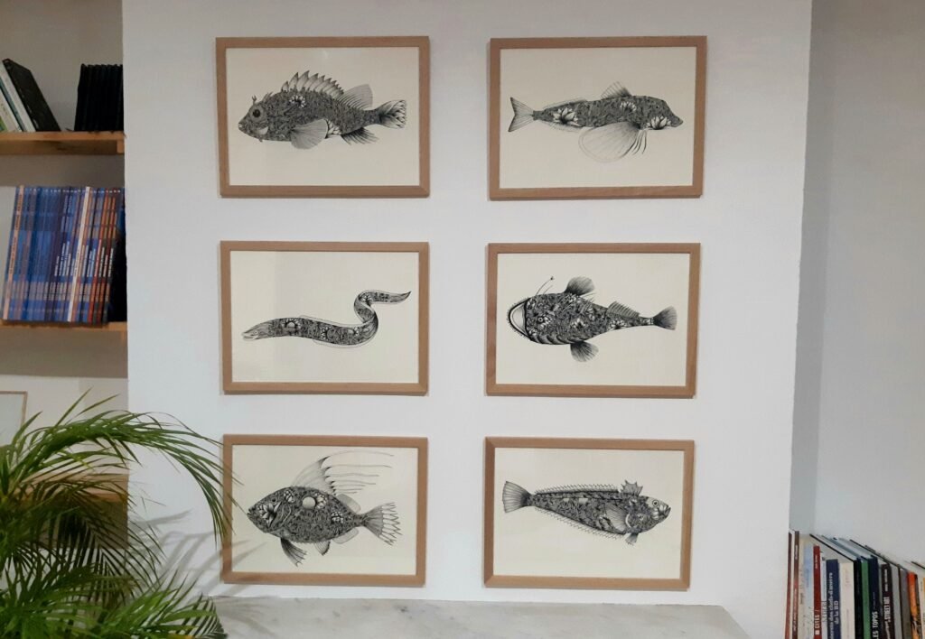 dessins noir et blanc poissons volutes alcyone