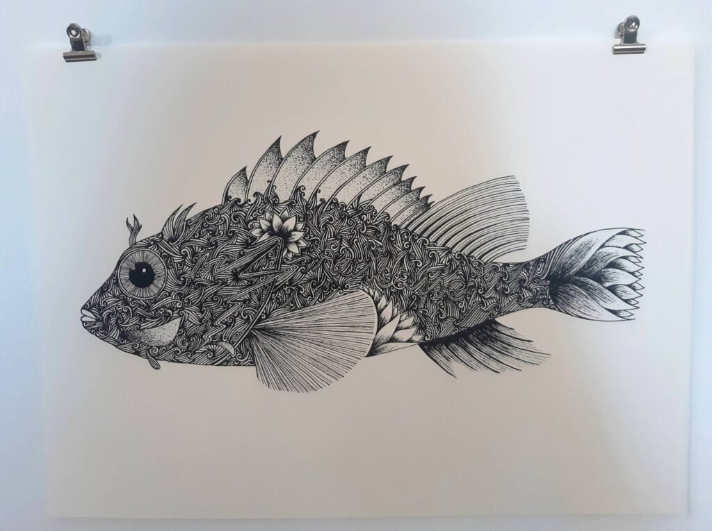 dessins noir et blanc poissons volutes alcyone 