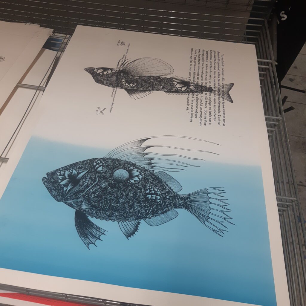 dessins noir et blanc poissons volutes alcyone sérigraphie